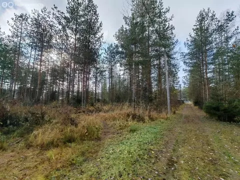 Участок в Московская область, городской округ Клин, СНТ Лесник (8 м)