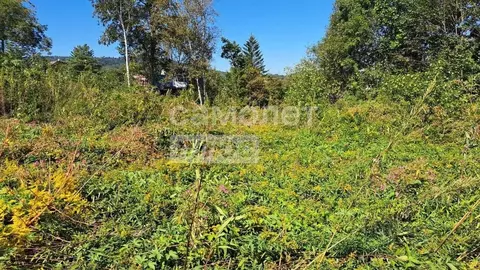 Участок в Приморский край, Надеждинский район, пос. Соловей-Ключ ул. ...