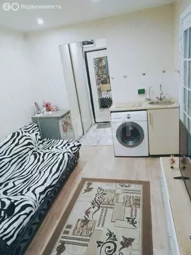 1-комнатная квартира: Тюмень, улица 30 лет Победы, 79 (27.7 м)