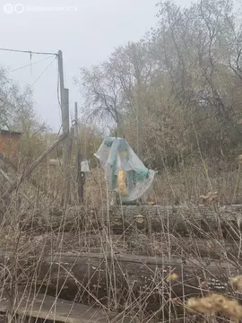 Участок в посёлок Совхозный, Совхозная улица (44 м)