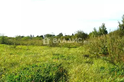 Участок в Приморский край, Октябрьский муниципальный округ, с. ...