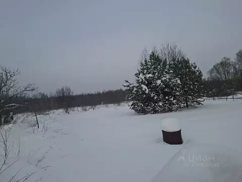 Участок в Московская область, Орехово-Зуевский городской округ, д. ...