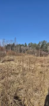 Участок в Ленинградская область, Выборгский район, пос. Первомайское ...