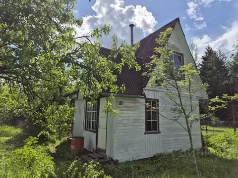 Дом в Ленинградская область, Лужский район, Мшинское с/пос, Мшинская ...