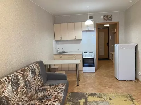 Студия Красноярский край, Красноярск ул. Карамзина, 8 (27.0 м)