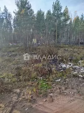 Участок в Ленинградская область, Всеволожское городское поселение, ...