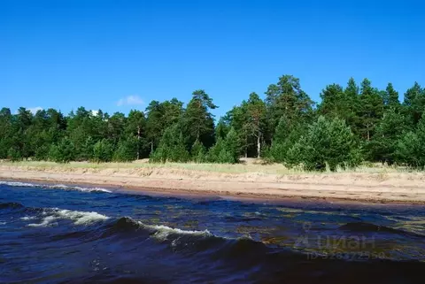 Дом в Карелия, Олонецкий район, Видлицкое с/пос, пос. Устье Видлицы ...