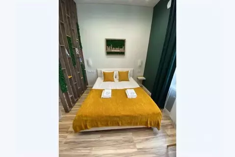 1-к кв. Ленинградская область, Выборг Ленинградский просп., 9 (23.0 м)