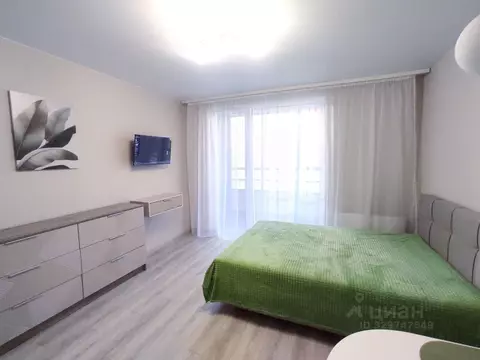 Студия Санкт-Петербург пос. Шушары, просп. Новгородский, 2к3 (25.0 м)