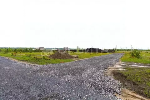 Участок в Тюменская область, Тюменский муниципальный округ, с. Кулига ...