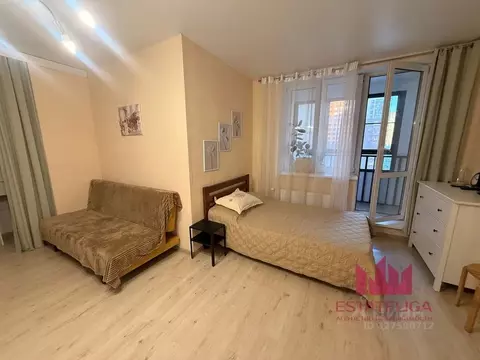 Студия Московская область, Балашиха ул. Романычева, 1 (30.0 м)