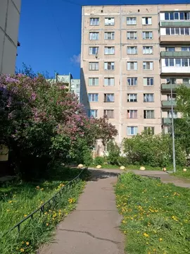 4-к кв. Санкт-Петербург просп. Энтузиастов, 22К2 (87.2 м)
