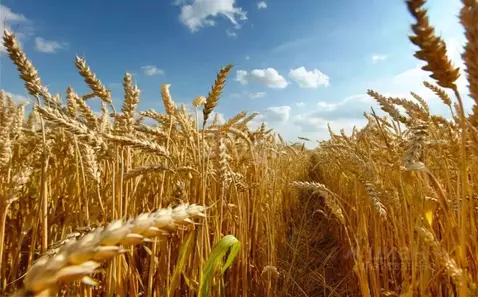 Склад в Новосибирская область, с. Усть-Тарка ул. Транспортная, 6/2Б ...