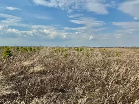 Участок в Тюменская область, Тюмень Центральная пл. (5.0 сот.)