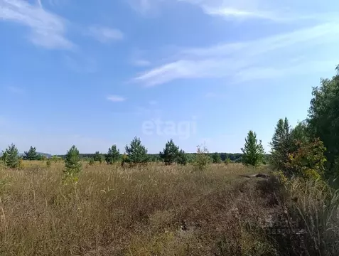 Участок в Воронежская область, с. Новая Усмань ул. Фрунзе, 29 (100.0 ...