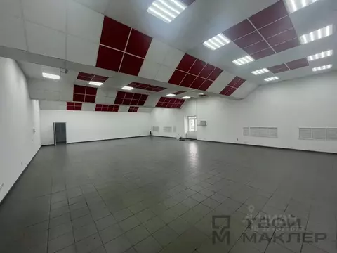 Склад в Пензенская область, Пенза ул. Чаадаева, 135к3 (909 м)