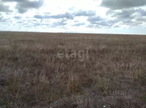 Участок в Крым, Черноморский район, Оленевское с/пос, с. Калиновка ул. ...