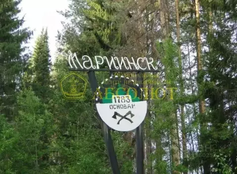 Участок в Свердловская область, Ревда городской округ, с. Мариинск ул. ...