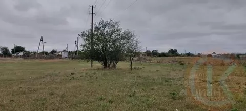 Участок в Крым, Черноморский район, Окуневское с/пос, с. ...