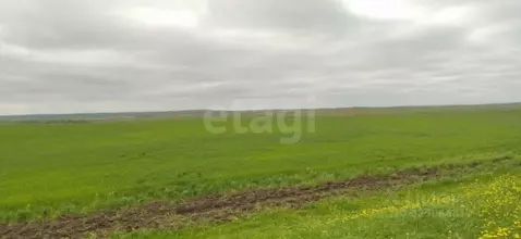 Участок в Крым, Ленинский район, Заветненское с/пос, с. Заветное ул. ...