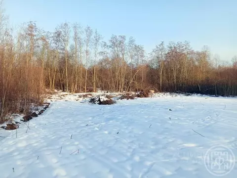 Участок в Ленинградская область, Выборгский район, пос. Красносельское ...