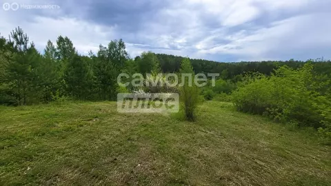 Участок в Иркутский муниципальный округ, СНТ Кедр, 145 (6 м)
