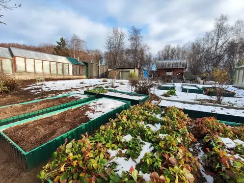 Участок в Камчатский край, Елизовский муниципальный округ, ...