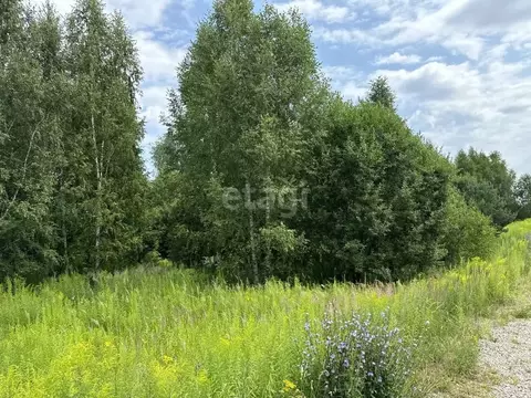 Участок в Нижегородская область, Балахнинский муниципальный округ, д. ...