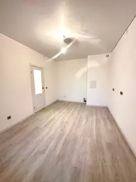 1-к кв. Санкт-Петербург ул. Струве, 12к1 (33.7 м)