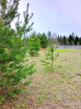 Участок в Кировская область, Слободской район, Шиховское с/пос, д. ...