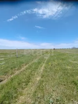 Участок в Крым, Черноморский район, с. Окуневка  (6.0 сот.)