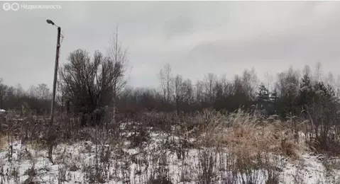 Участок в деревня Орлово, Сказочная улица (13.6 м)