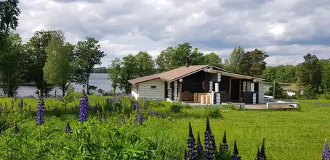 Дом в Псковская область, Опочецкий муниципальный округ, д. Камено  ...