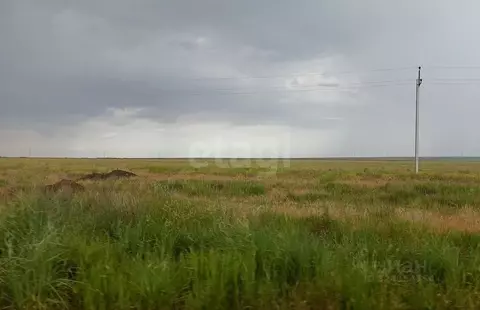 Участок в Крым, Ленинский район, с. Батальное ул. Степная (100.17 ...