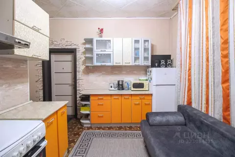 1-к кв. Алтайский край, Барнаул ул. Профинтерна, 18 (33.7 м)