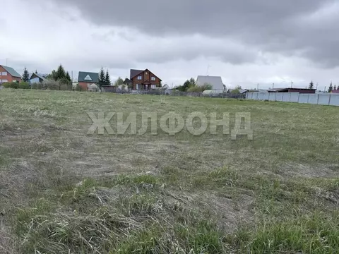 Участок в Новосибирская область, Ордынский район, с. Новопичугово ул. ...
