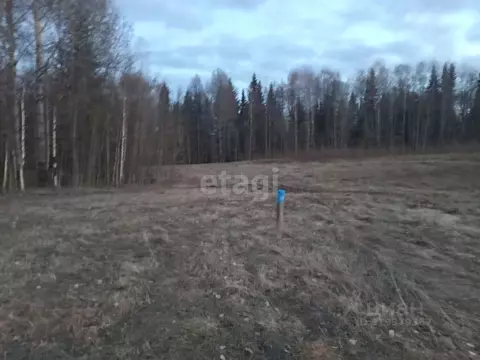 Участок в Коми, Сыктывдинский район, с. Выльгорт  (10.6 сот.)