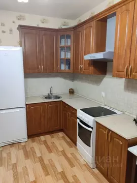 1-к кв. Санкт-Петербург просп. Просвещения, 99 (43.0 м)