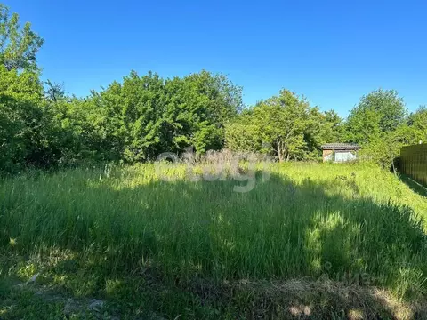 Участок в Брянская область, Брянский район, Снежское с/пос, с. ...