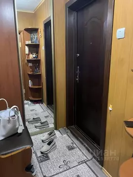 1-к кв. Самарская область, Тольятти просп. Степана Разина, 48 (32.6 м)
