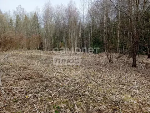 Участок в Ленинградская область, Тосненский район, Шапкинское с/пос, ...