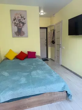 1-к кв. Приморский край, Владивосток ул. Нейбута, 6 (26.0 м)