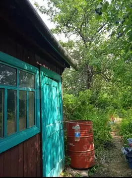 Участок в Свердловская область, Каменск-Уральский № 65 коллективное ...