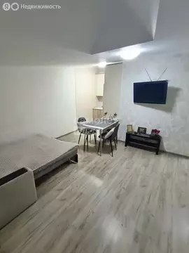 1-комнатная квартира: Нальчик, улица Братьев Беровых, 70 (28.5 м)