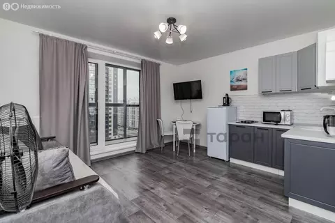 Квартира-студия: Челябинск, Телевизионная улица, 14Б (24.2 м)