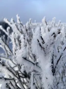 Дом в Иркутская область, Иркутский муниципальный округ, Печатник СНТ ...
