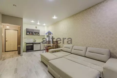 Студия Татарстан, Казань Профессора Камая ул., 10к4 (31.3 м)