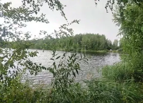 Участок в Ярославская область, Ярославский муниципальный округ, ...