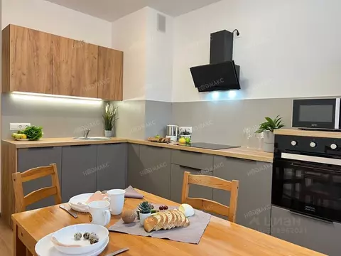 2-к кв. Санкт-Петербург просп. Космонавтов, 104к1 (56.0 м)