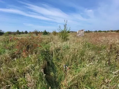Участок в Калининградская область, Гурьевский муниципальный округ, ...